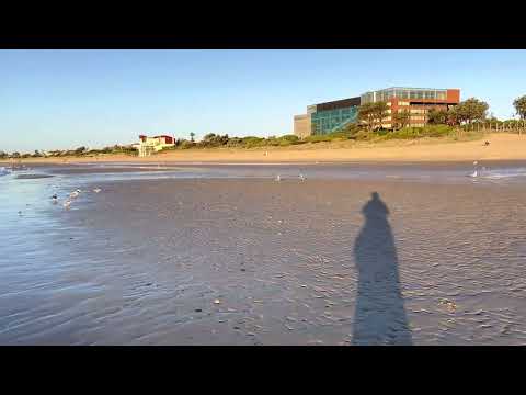 Peaceful sea 🌊 beach 🏝️ Frankston, Australia 🇦🇺