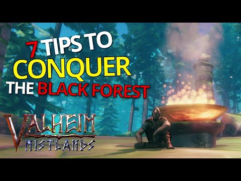7 Tips For Conquering The Black Forest - Valheim
