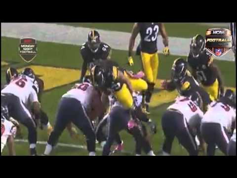 Troy Polamalu jumps over Texans line before snap, kicks QB in the face 2014