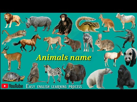 Wild animals names (जंगली जानवरों का नाम) Pictur And Sounds | wild animals names hindi