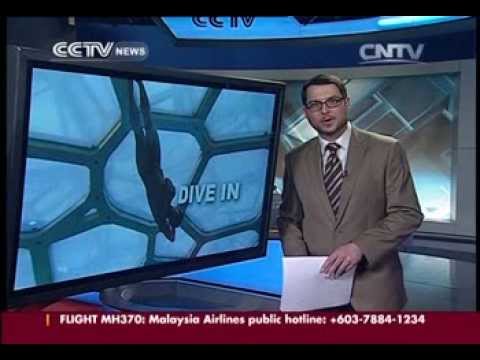 FINA Diving World Series Beijing stop to kick off