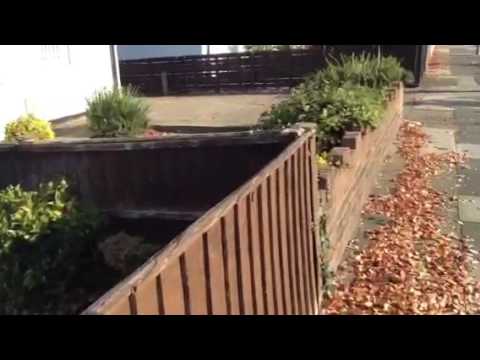 FE ... The Language We Weave ... Communicating Concepts ...