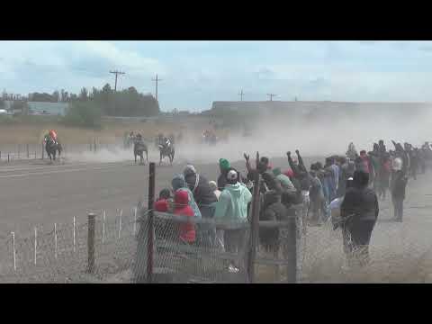 BANDIDO Club Hípico "El Chiripa" - Villa Regina - Rio Negro - 29-10-2023