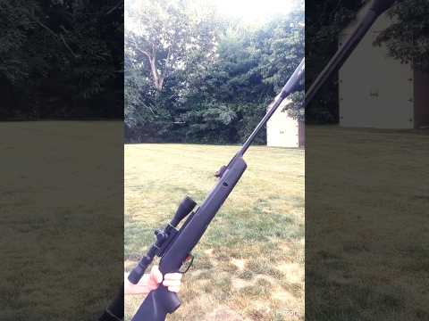 Gamo Whisper .177 Air Rifle