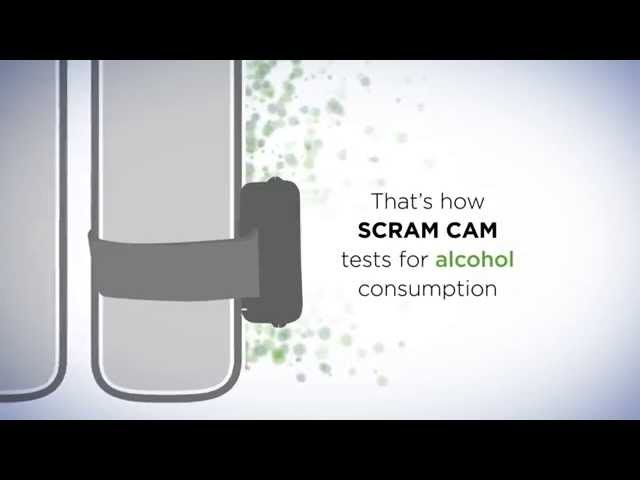 SCRAM Systems product / service
