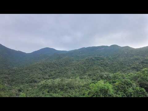 Mount Parker Lodge Youtube Video