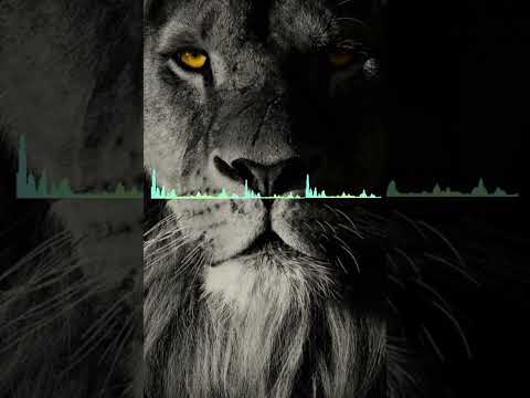 Praise jah in the moonlight - YG marleY