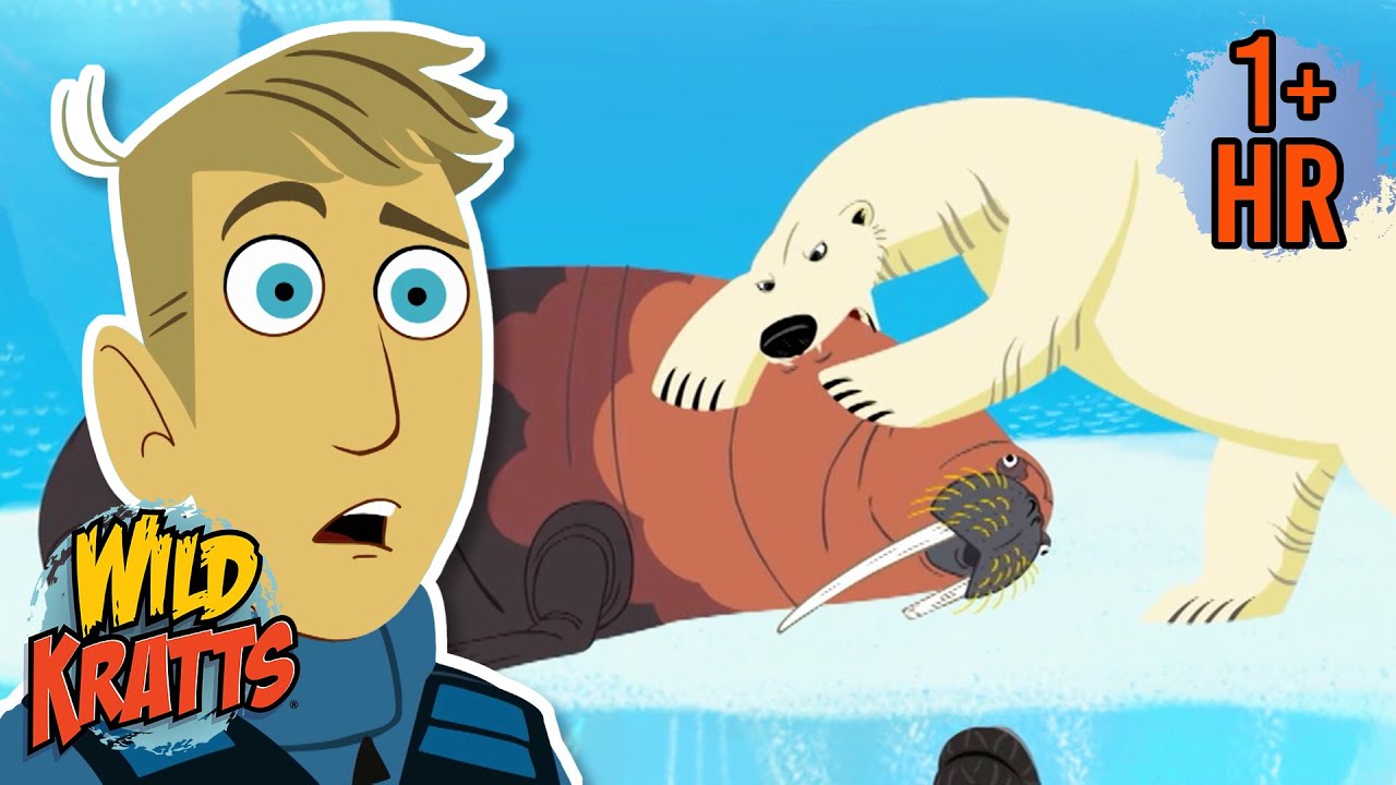 Polar Bear and Walrus Showdown | Epic Creature Battles | Wild Kratts