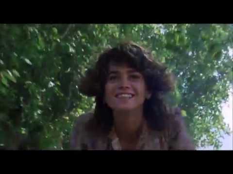 Sunbeam Sound Machine - In Your Arms