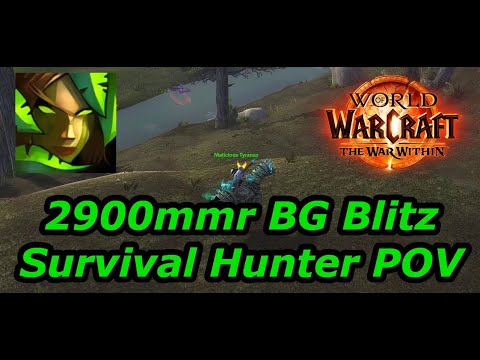 2900mmr Survival Hunter BG Blitz | Keexy