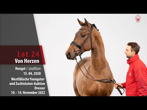 Online-Auktion Lot 24 Von Herzen Hengst v. Valverde - Fürst Grandios