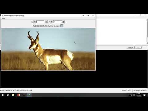 Introduction To Computing Programming In Python Chapter 4