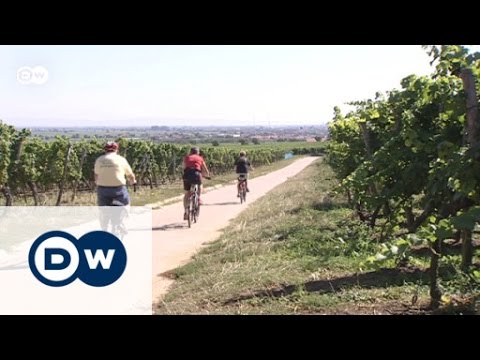 Pfalz - Biking on the German Wine Route | Discover Germany