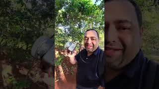 Visita ao parque Mata do Catingueiro. 