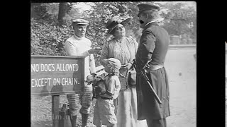 Bringing Home the Pup