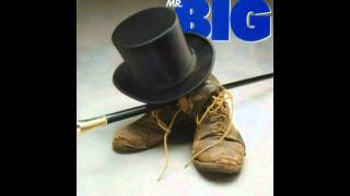 Mr. Big - Blame It On My Youth