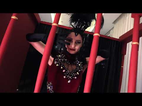 Vintage Circus Entertainment