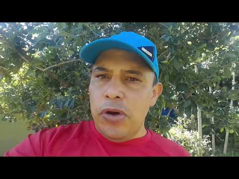 Um tratamento que deu certo 