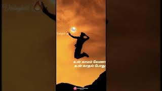 Download lagu volleyball whatsapp status fullscreen..,🏐✌❤ mp3