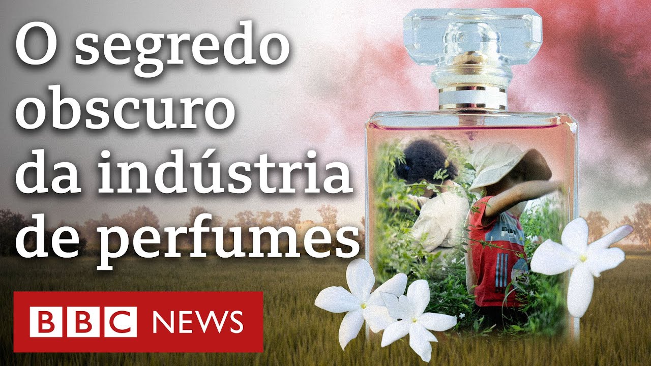 Marcas de perfumes de luxo estão envolvidas com trabalho infantil, revela investigação da BBC