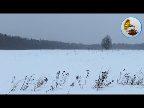 Il suono di una bufera di neve per dormire e studiare, neve che cade in 4K. Tempesta di neve.