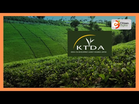 Kericho leaders dismiss KTDA's explanation on bonus disparities