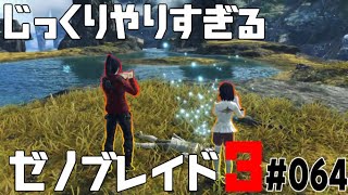 じっくりやりすぎる【ゼノブレイド3】#064