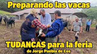 ¡HISTÓRICO! Vuelven las Vacas Tudancas a la Feria 40 Años Después 🐂🔔 | El Orgullo de Jorge Puebla