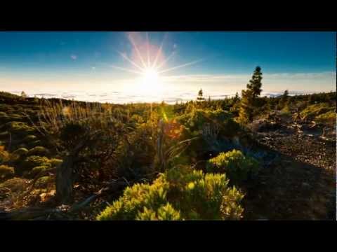 Acrux - New Beginnings HQ!