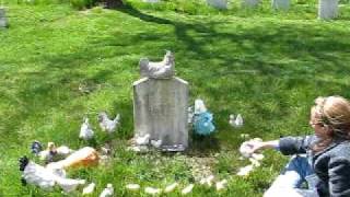 preview picture of video 'Grave of Nancy Luce'