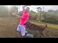 Most Brutal Police K9 Takedowns