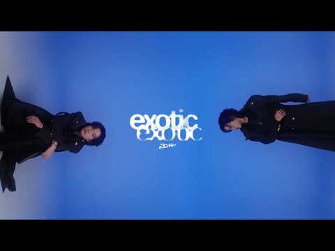 2Ectasy - exotic (Official MV)