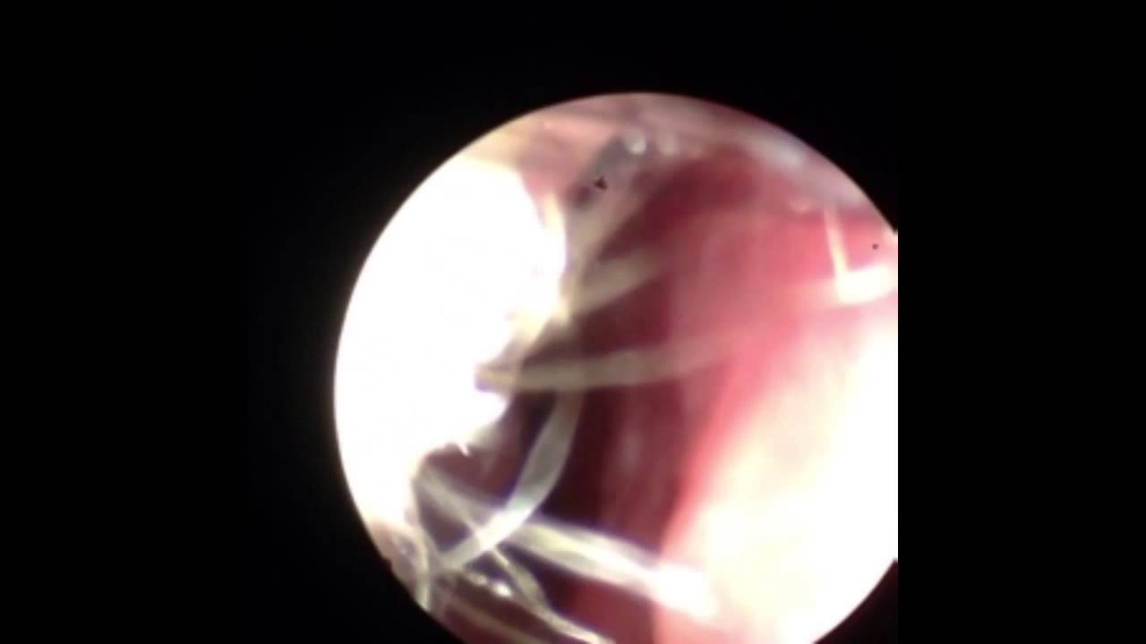 Aldo Guerrero González-11