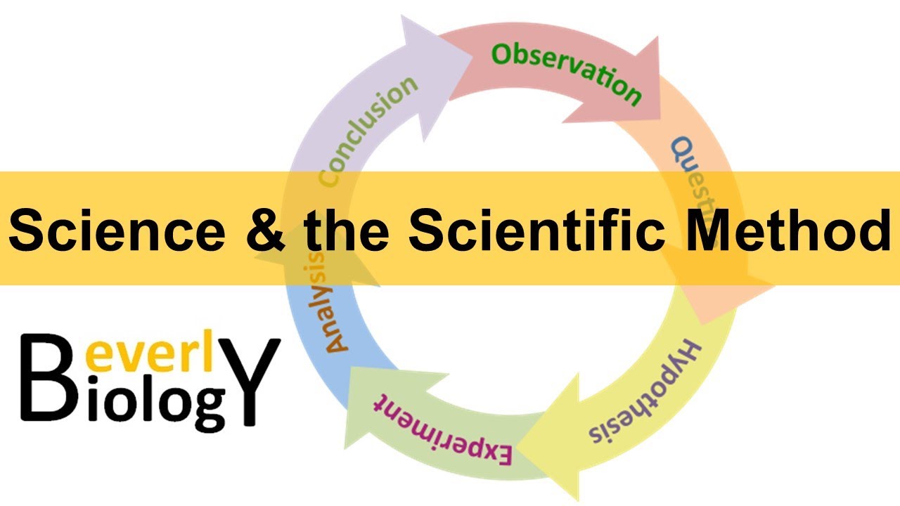 Scientific Method (updated)