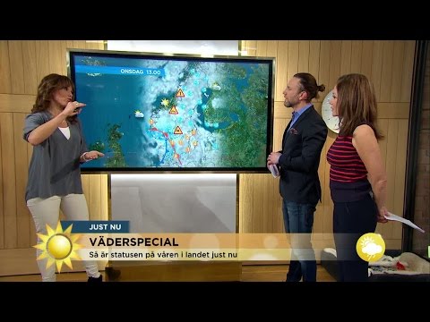 "Så här mycket snö kan det komma" - Nyhetsmorgon (TV4)