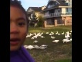 Look At All Those Chickens Vine|Worlds Funniest Vine|