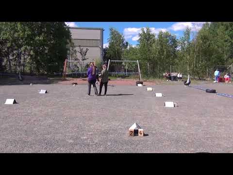 Vekara Agility , Brasilianterrieri , Nova