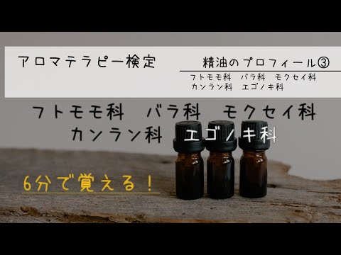 アルディシア・ポリセファラ