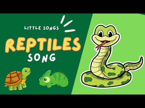 Reptiles Song | Reptiles have scales