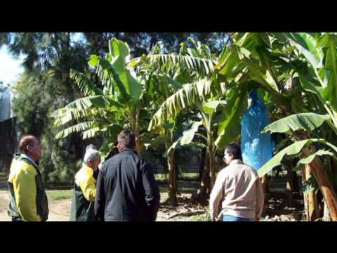 Universidad Agraria del Ecuador una de las mas grandes del Ecuador