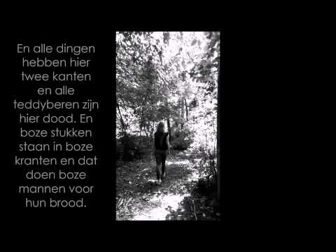 Annie M.G. Schmidt - Dit is het land