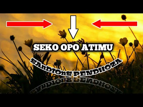 Lirik lagu Sandios Pendhoza - Seko Opo Atimu
