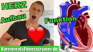 Herz & Herz- Kreislaufsystem | Aufbau und Funktion, Systole Diastole einfach erk