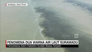 Download lagu Fenomena Dua Warna Air Laut Suramadu mp3