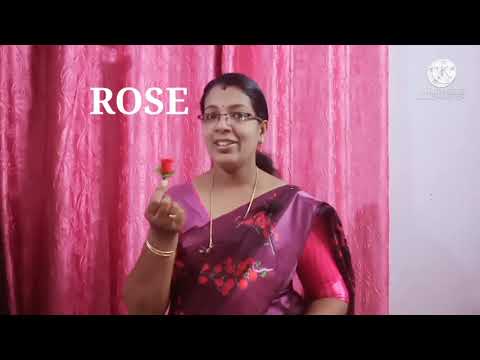 preprimary flower class introduced video /by Haripriya