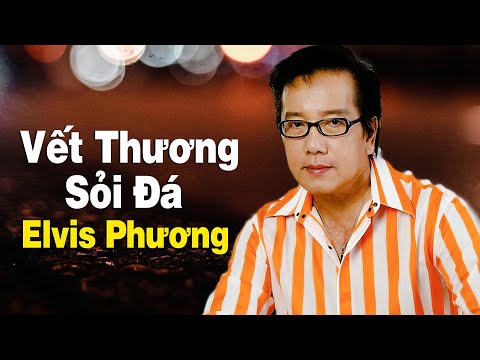 Vết thương sỏi đá Sheet - Elvis Phương