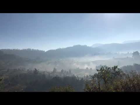 LOUD feat Emok & Vice - Om