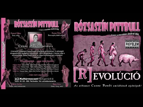 Rapbull - Rózsaszín Pittbull - Revolúció 2009