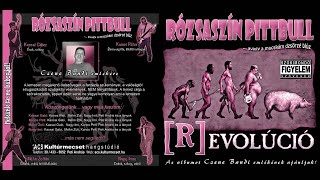 Rapbull - Rózsaszín Pittbull - Revolúció 2009