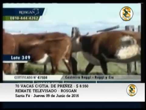 09-06-16 - VENTA DE VIENTRES - ROSGAN - REMATE TELEVISADO